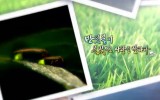 KBS 야생일기 Title - '반딧…